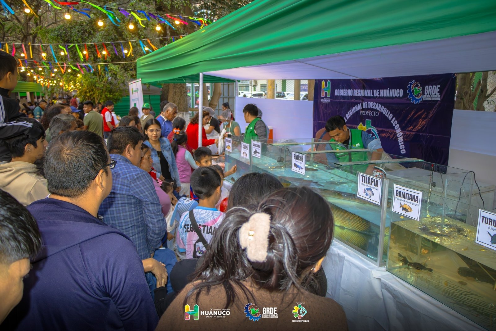 Faica 2025 reúne a 412 productores de las once provincias de la región Huánuco